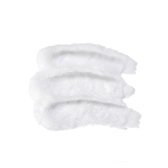 NETTOYANT ENZYMATIQUE SNOW EX - RIMAN