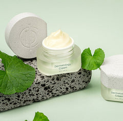 CRÈME DERMATOLOGIQUE - INCELLDERM - JBBeauté