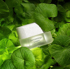 CRÈME DERMATOLOGIQUE - INCELLDERM - JBBeauté
